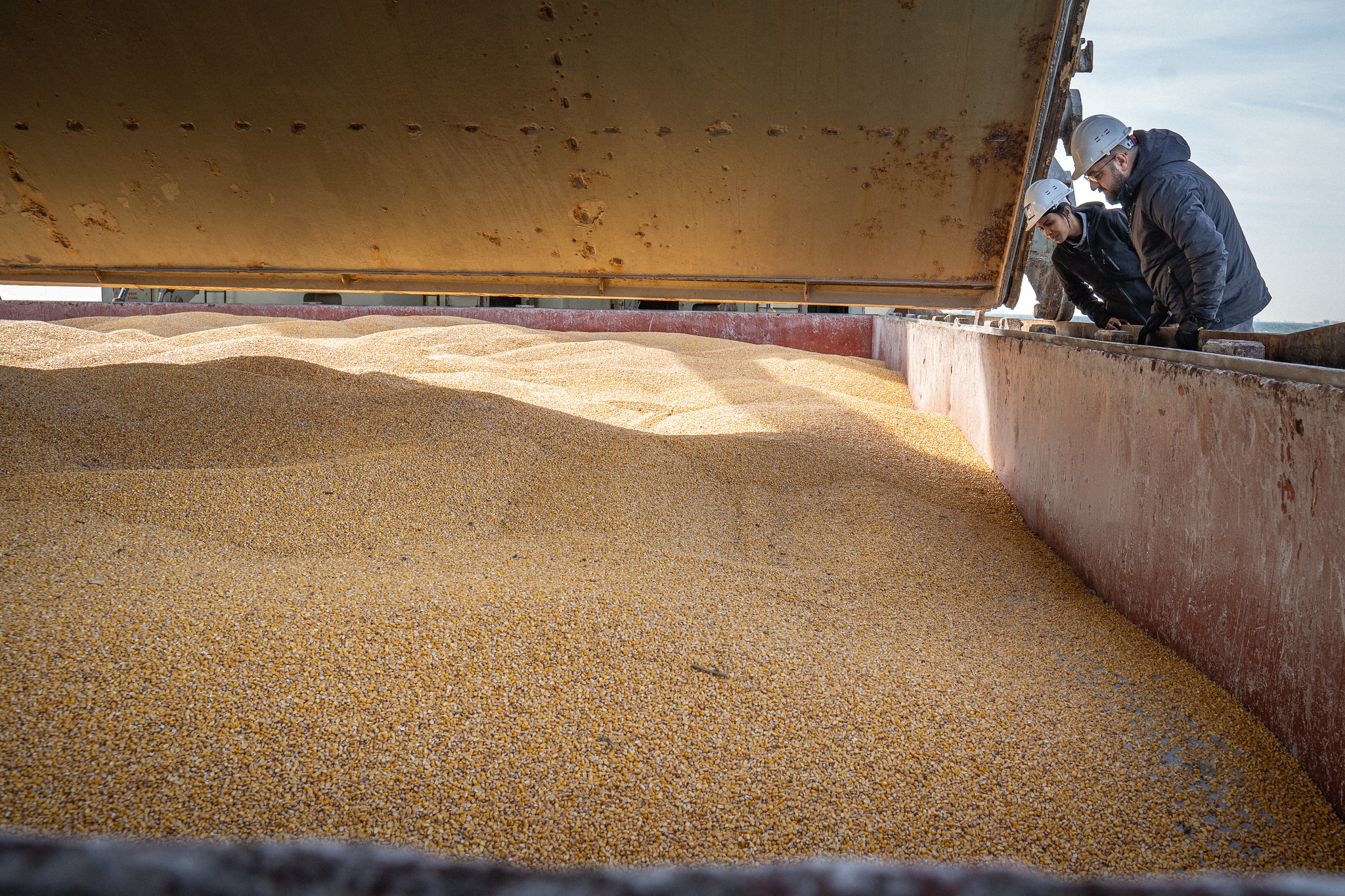 Ukrainian grain exports from the port of Odesa via the UN’s Black Sea Grain Initiative being inspected, 21 March 2023. © United Nations Office on Drugs and Crime via Flickr. 