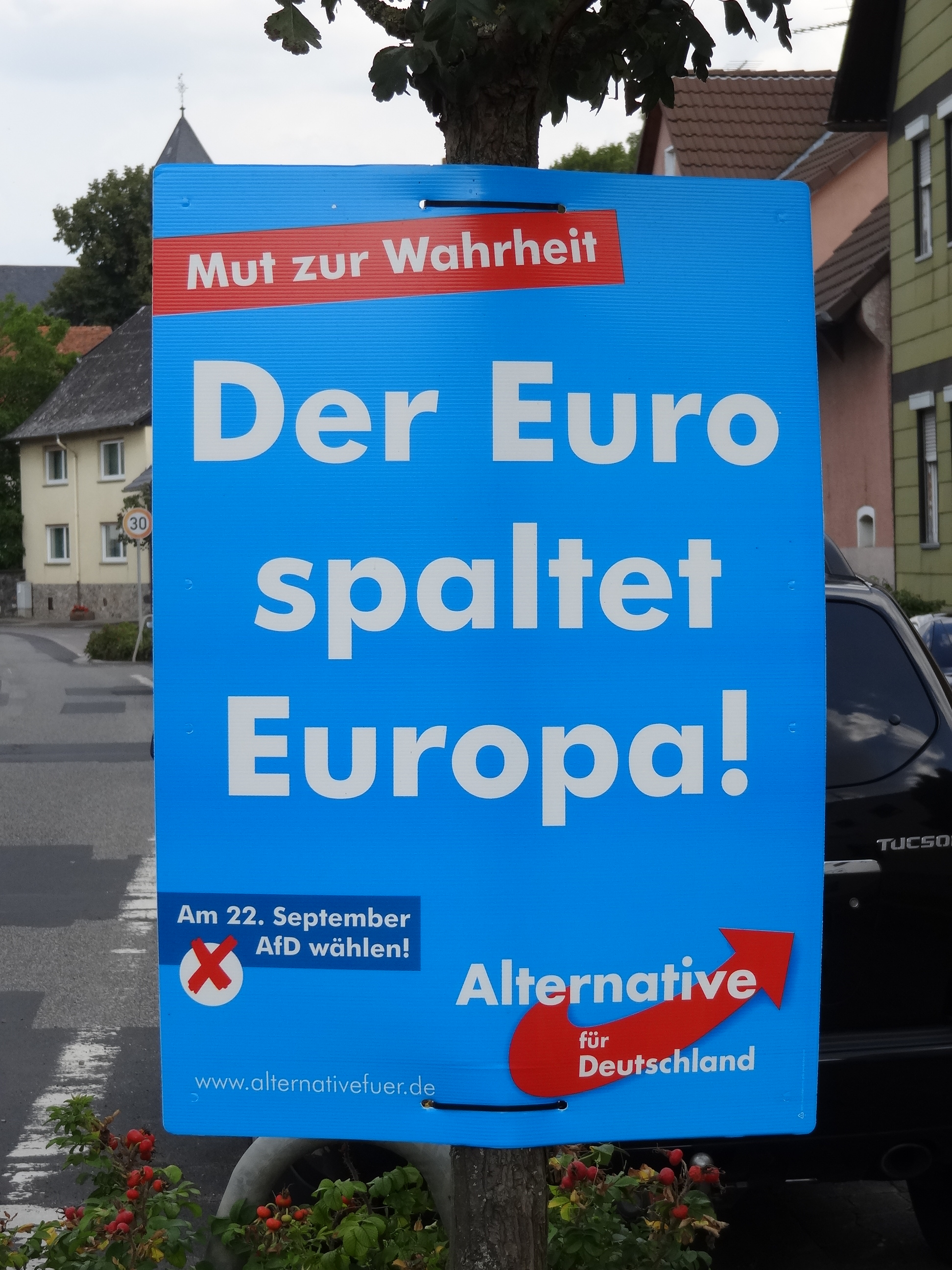'The Euro splits Europe' tagline on an AfD election placard in 2013. Source: Wikimedia
