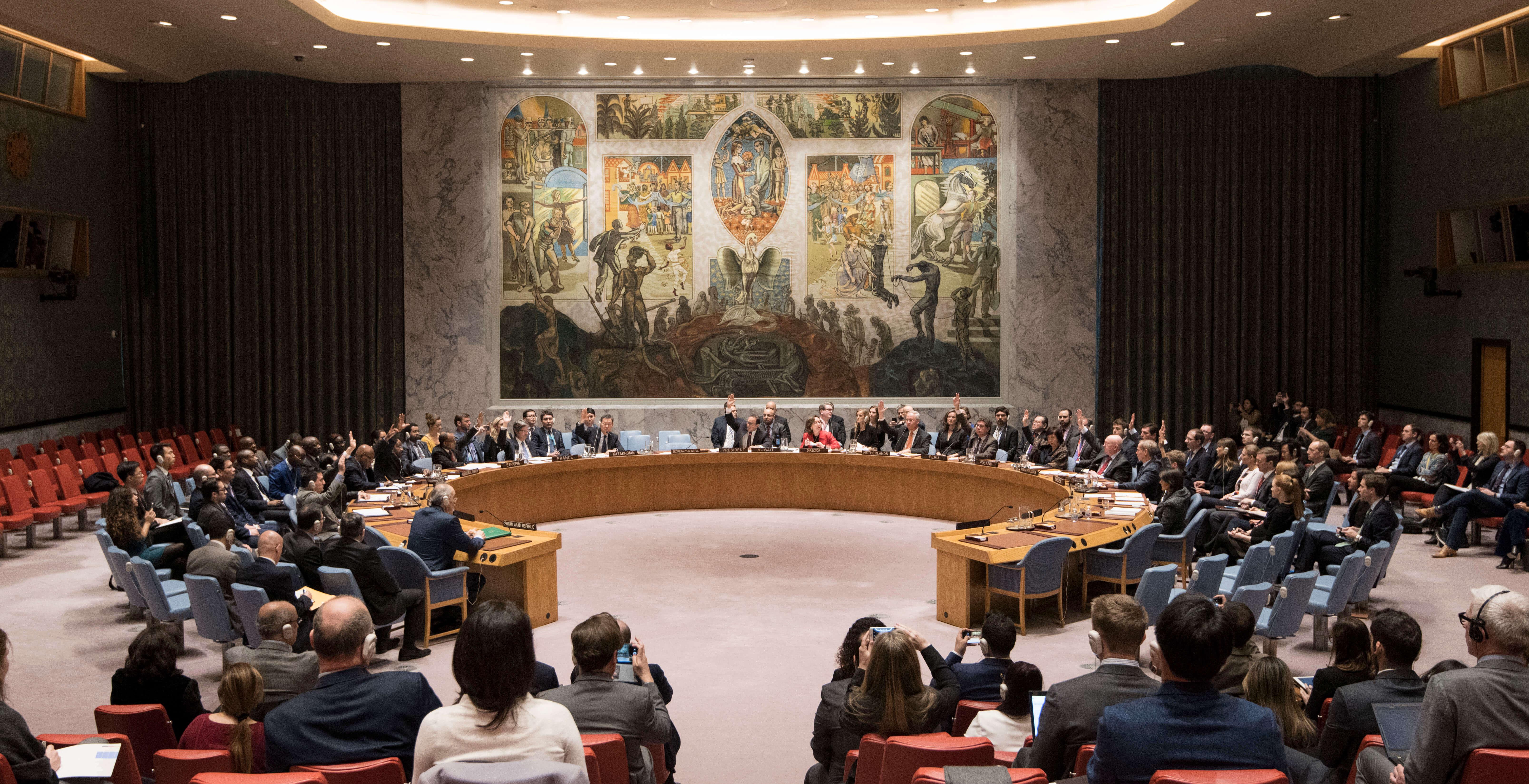 VN-Veiligheidsraad neemt Resolutie 2401 aan