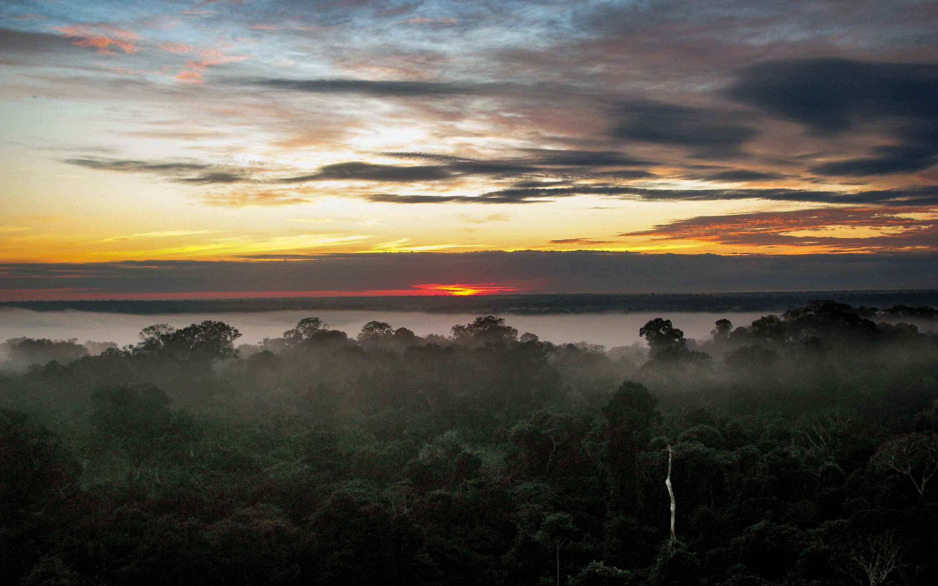 Zonsopkomst in de Amazone, 2008. © Flickr / Edwin Bellota. 