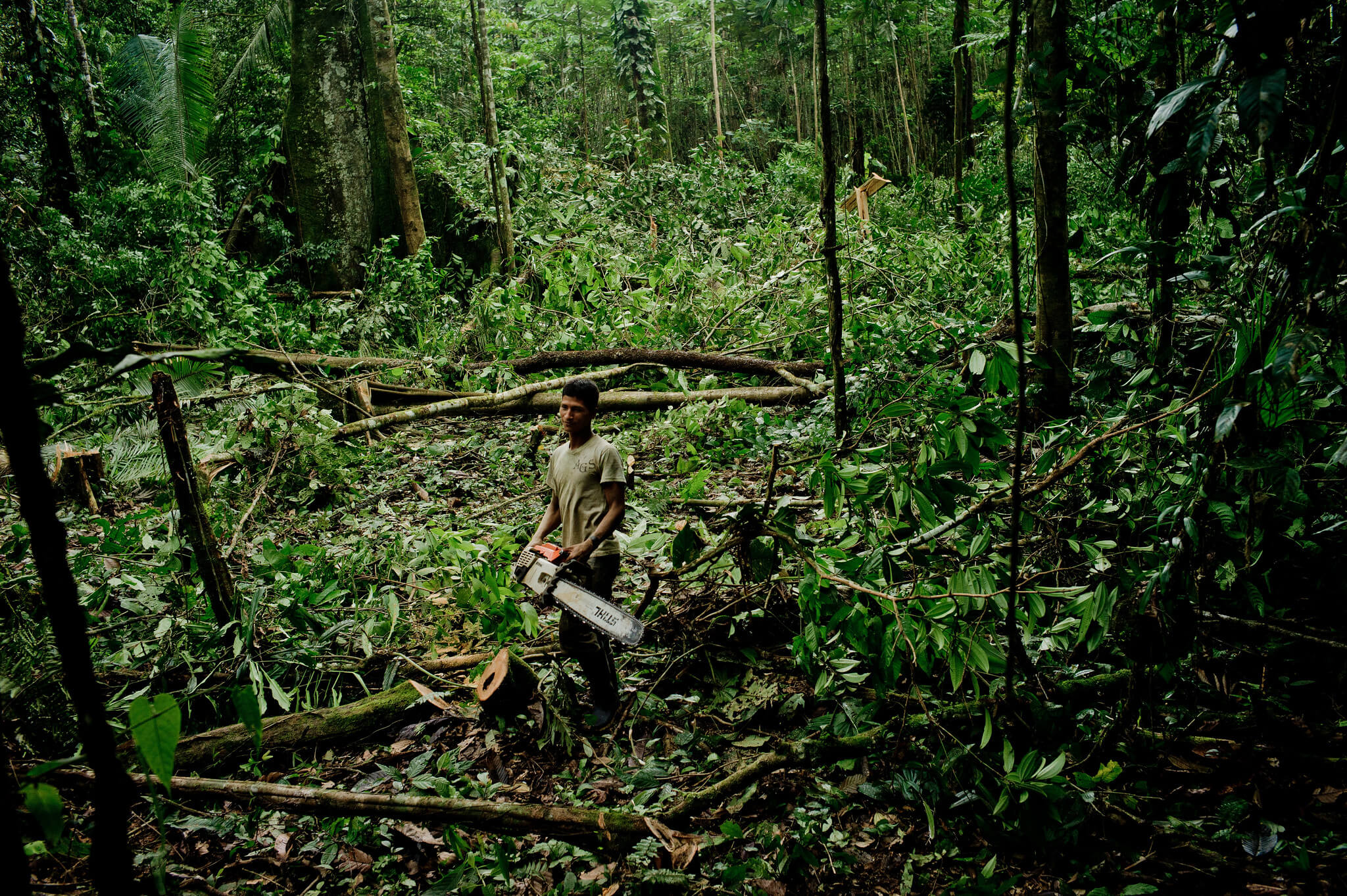 Ecuadoriaanse dorpeling kapt bosgebied om landbouwgrond vrij te maken