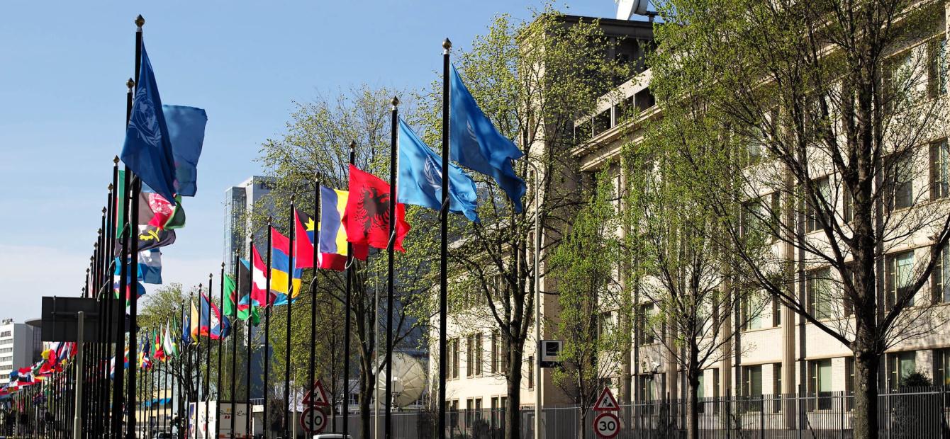 The EU and the Western Balkans: challenges changing shape