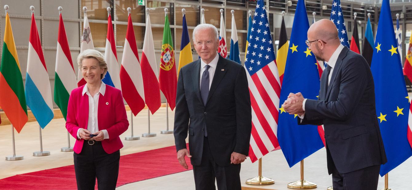Seven Expert Views: America First, Europe Alone?