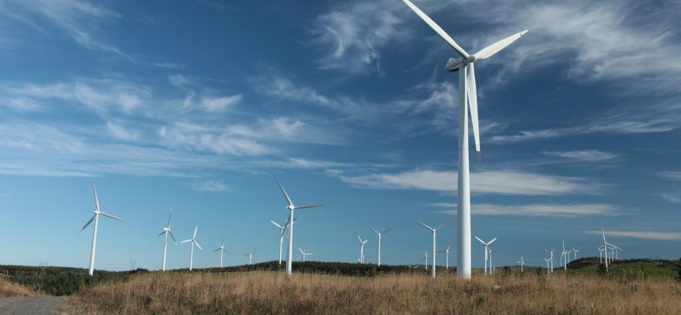 The EU’s Green Transition: Avoiding a new dependency trap